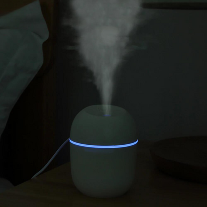 Portable Office Humidifier