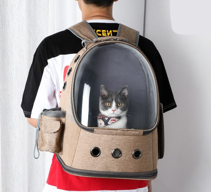 Cat Space Capsule Backpack NovaBlend Bazaar