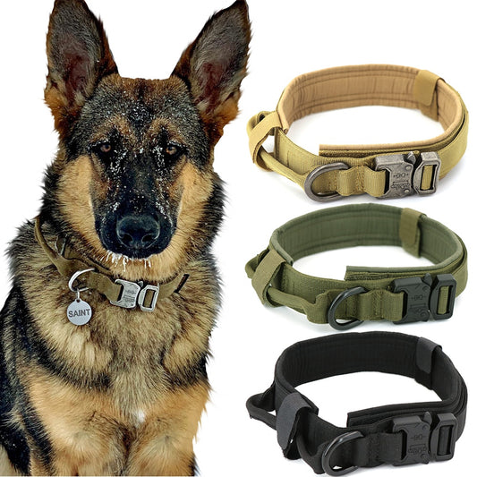 Dog Collar NovaBlend Bazaar