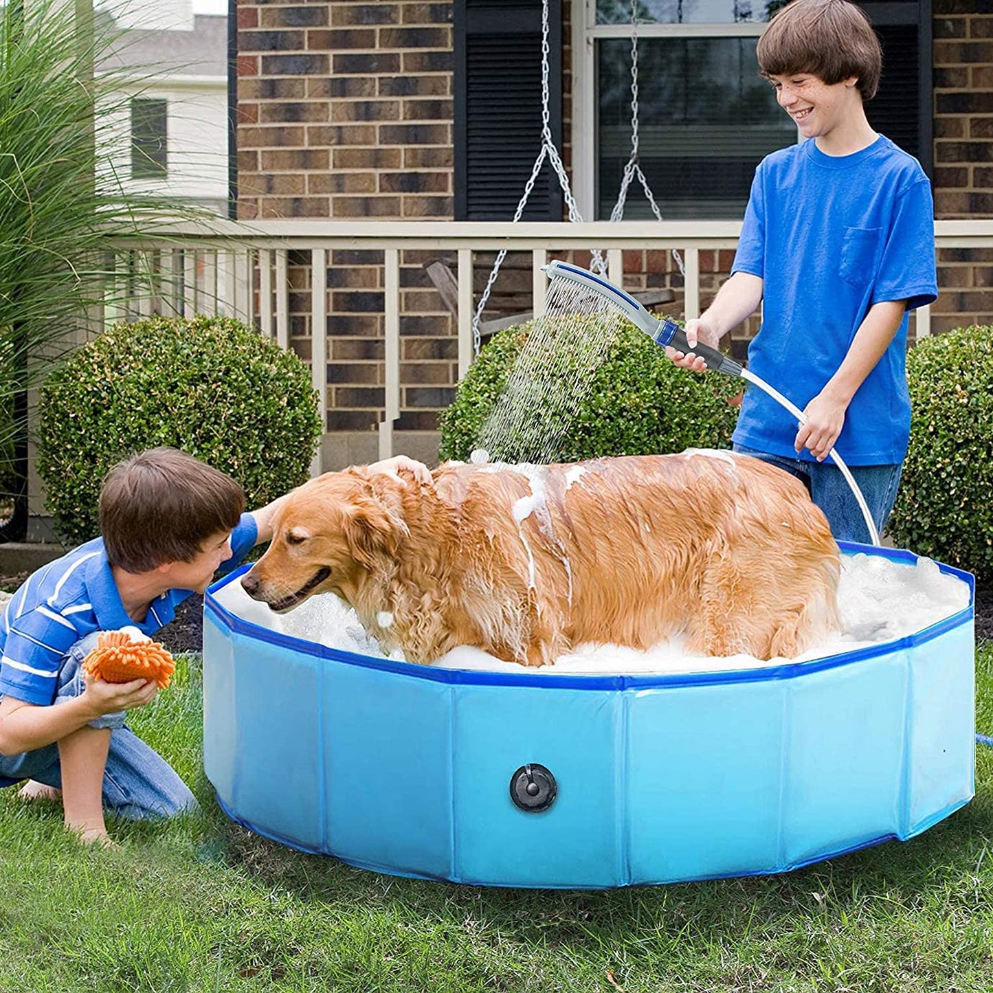 Dog Shower Sprayer Attachment NovaBlend Bazaar