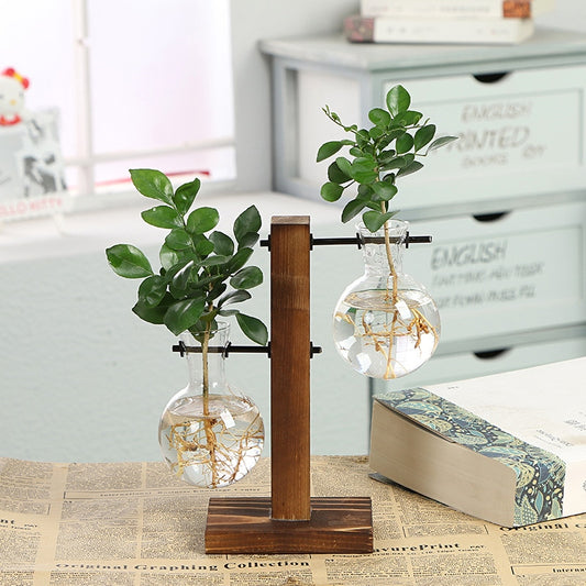 Hydroponic Transparent Plant Vases NovaBlend Bazaar