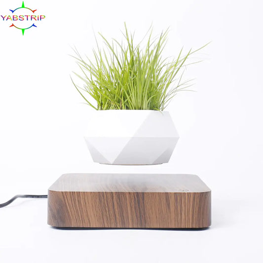 Levitating Air Bonsai Pot NovaBlend Bazaar