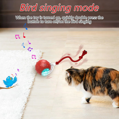 Cat Rolling Balls Bird Chirping