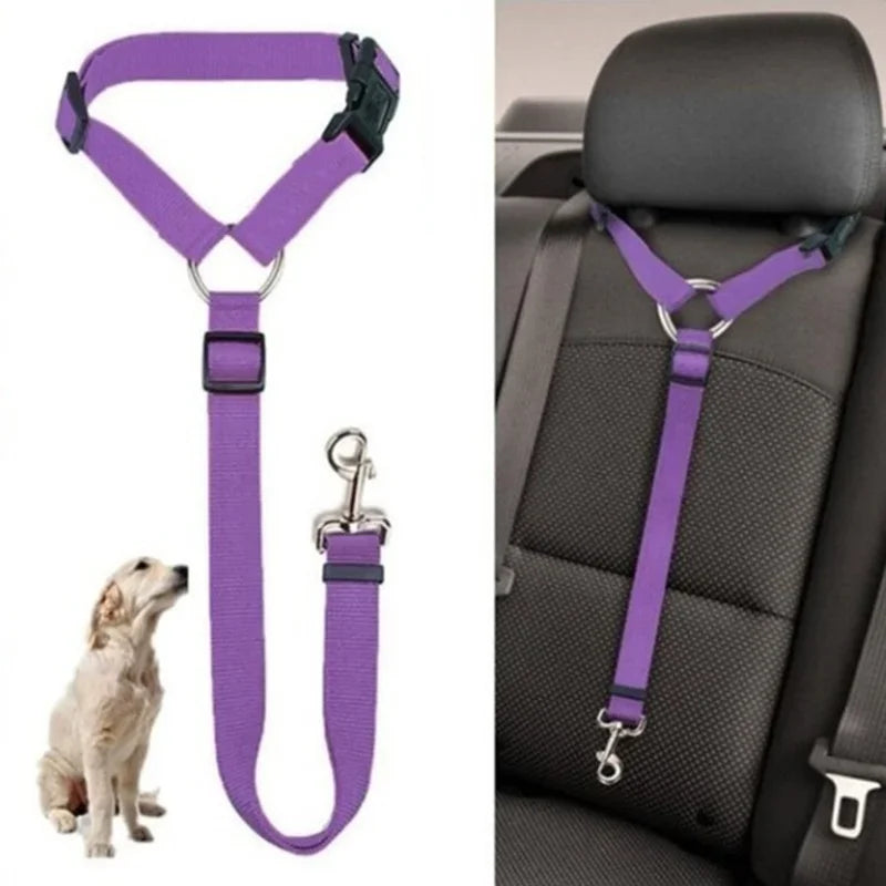 Pet Car Seat Belt Leash