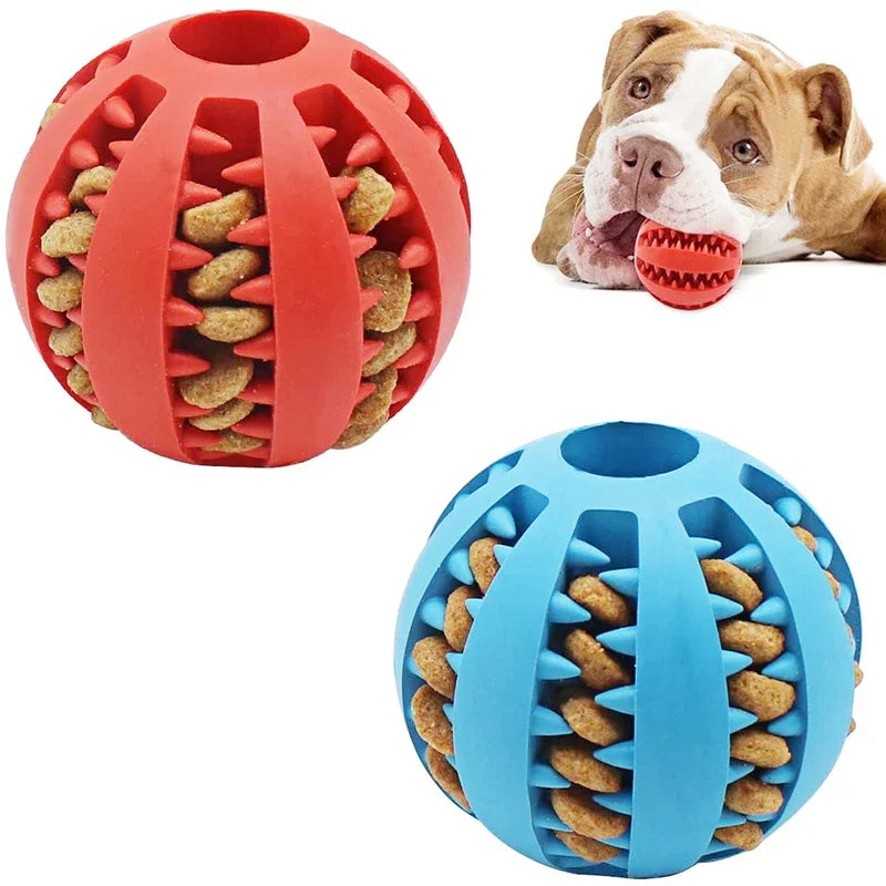 Dog Ball Feeder