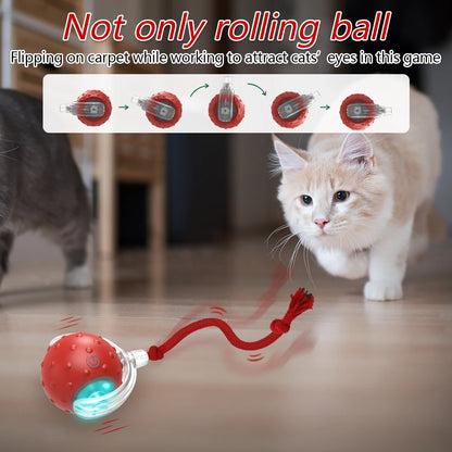 Cat Rolling Balls Bird Chirping