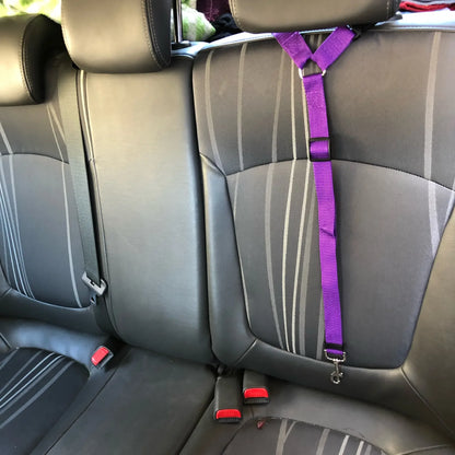 Pet Car Seat Belt Leash