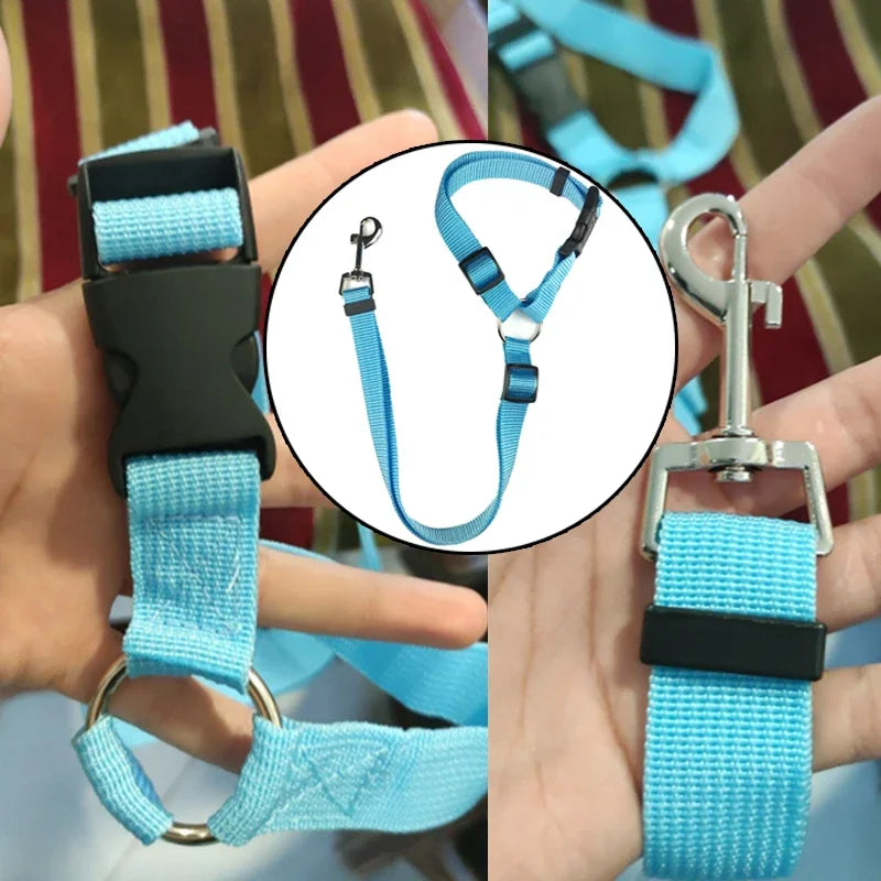 Pet Car Seat Belt Leash