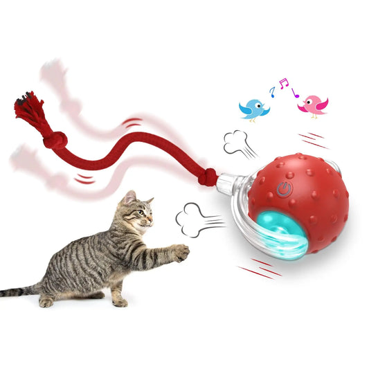 Cat Rolling Balls Bird Chirping