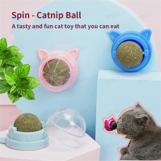 Spin Catnip Ball for Cats NovaBlend Bazaar